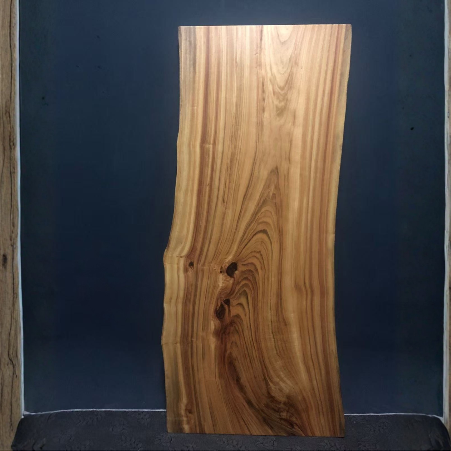 Japanese Cinnamonum camphora(日本楠木)