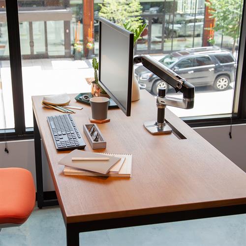 Ergotron LX Desk Single Monitor Arm