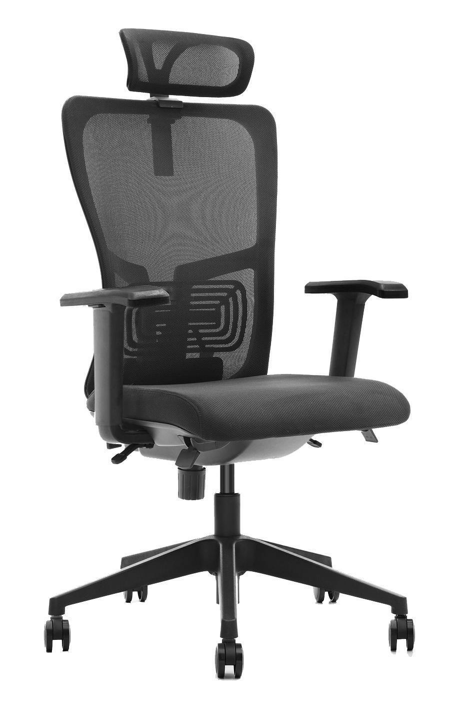 K5 Truly Ergonomic Chair