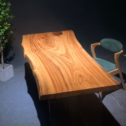 Japanese Cinnamonum camphora（日本楠木)