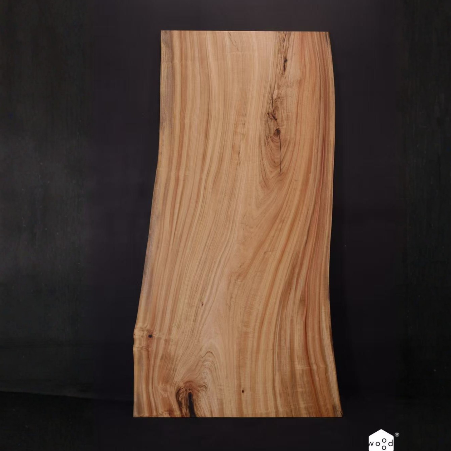 Japanese Cinnamonum camphora（日本楠木)