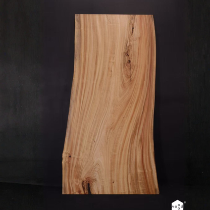 Japanese Cinnamonum camphora（日本楠木)