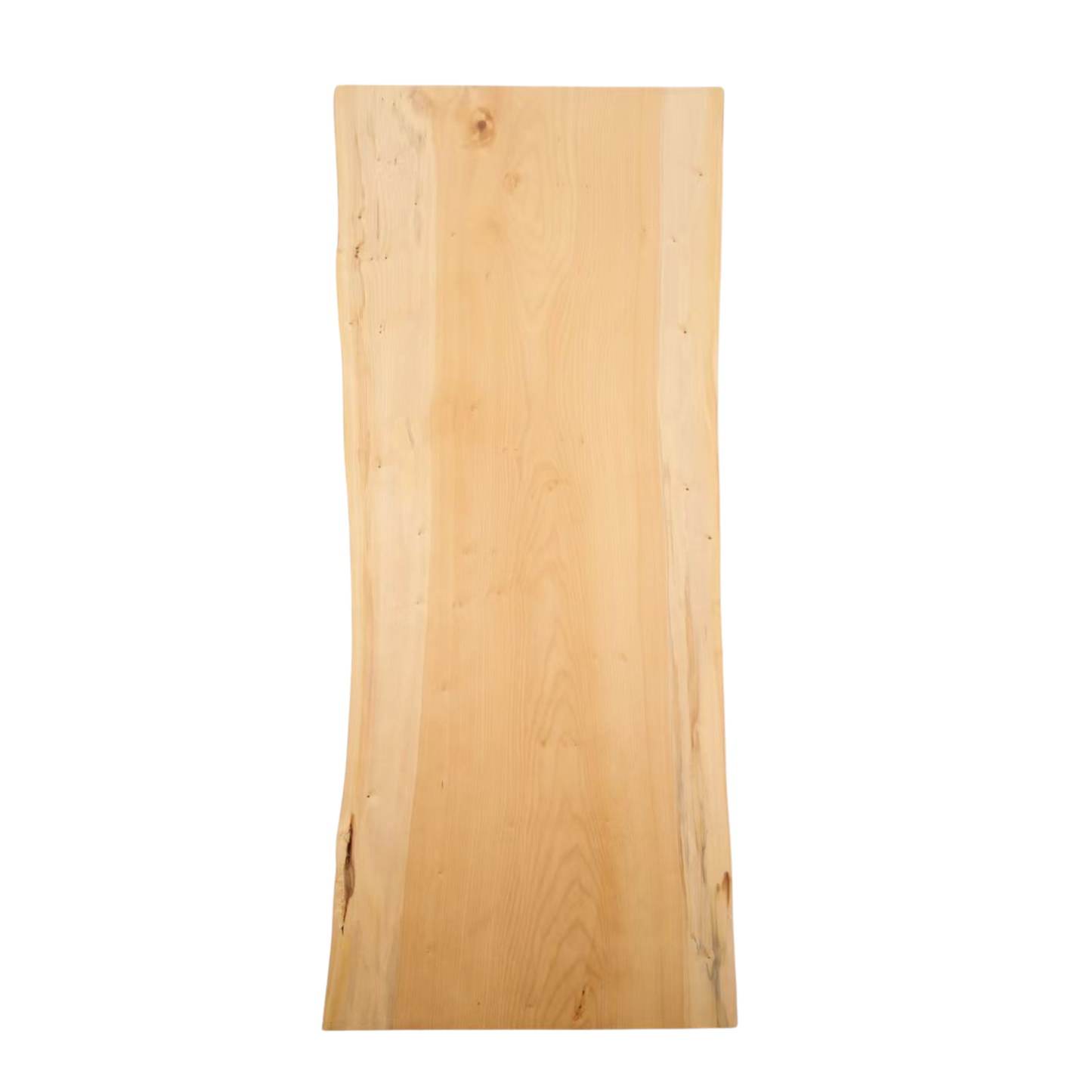 Japanese Ginkgo.（日本银杏木）)