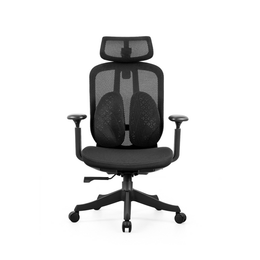 Z-E2518H black - Office Ergonomic Chair